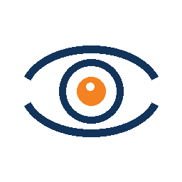 Vision
